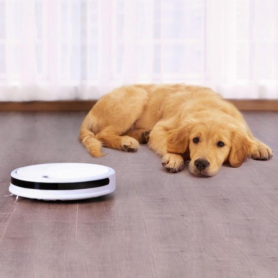 XIAOMI Roborock Xiaowa Lite - Robotski sesalnik