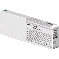Epson T804900 (svetlo svetlo črna) - Original kartuša