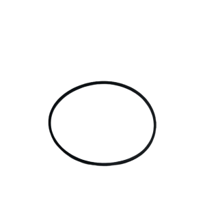 SPANET SC05-OPC - O-obroč pokrova črpalke SmartFlo Circ