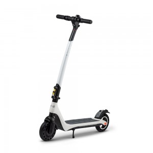 Gpad Svan - Električni skiro