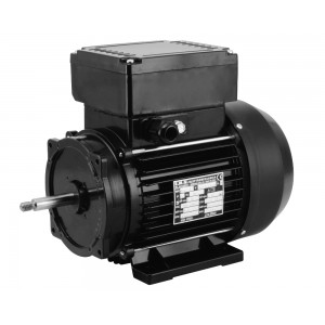 EMG 80-2/4 dvostopenjski motor črpalke