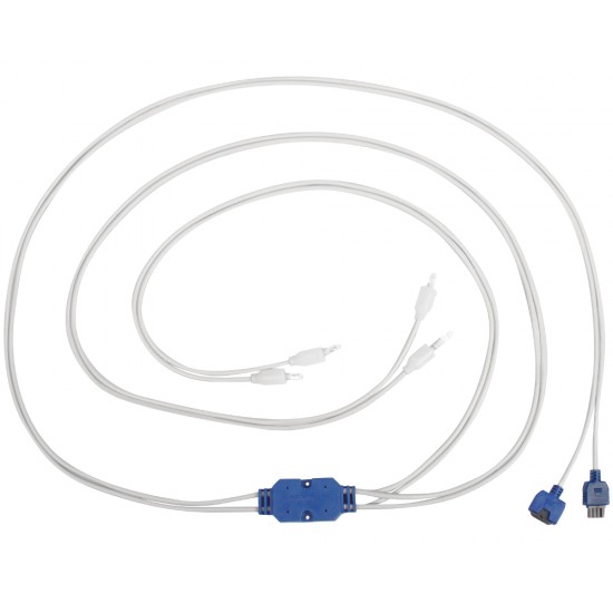 4-LED Spyder Balboa