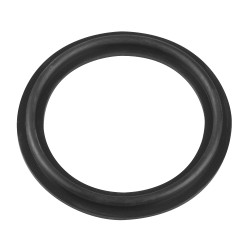 Waterway 2" tesnilo grelnika s prirobnico