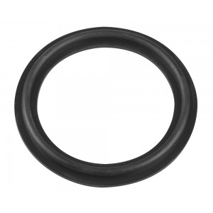 Waterway 2" tesnilo grelnika s prirobnico