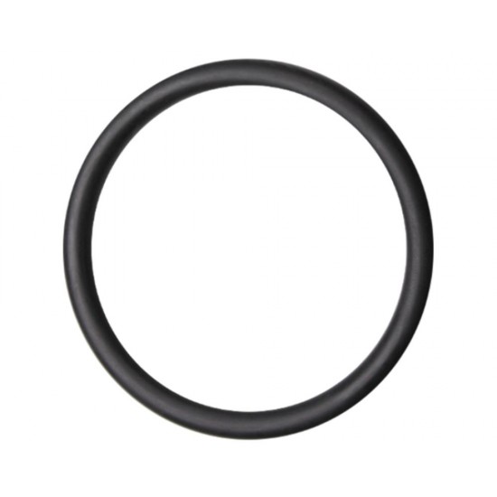 60/66 mm tesnilni obroč (2" priključek črpalke)