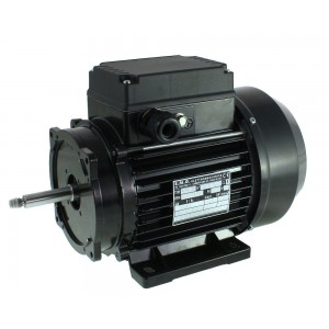 EMG 80/2 enostopenjski motor črpalke