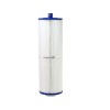 PCAL60-F2M filter / Cal Spas