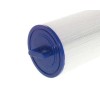 PCAL60-F2M filter / Cal Spas