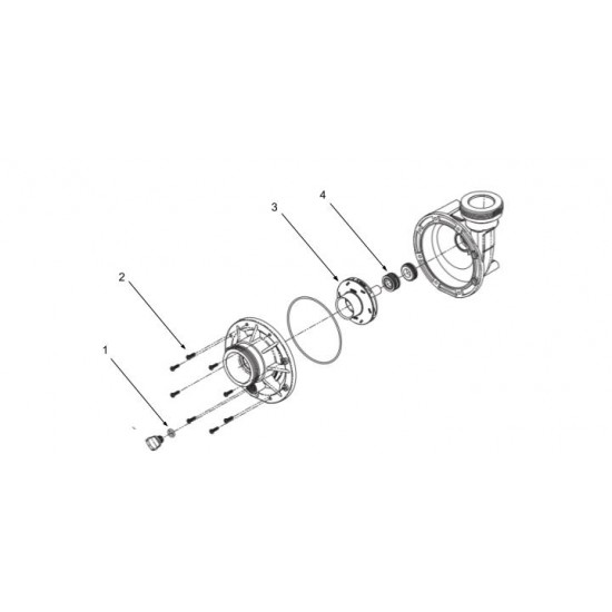 Waterway Spa Flo II wet end 2 HP