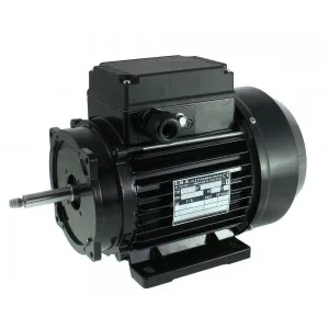 EMG 80/2 enostopenjski motor črpalke