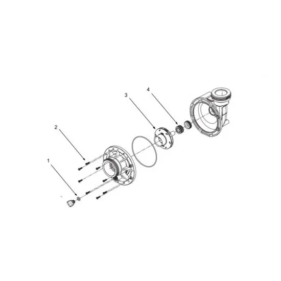 Waterway Spa Flo II wet end 2 HP