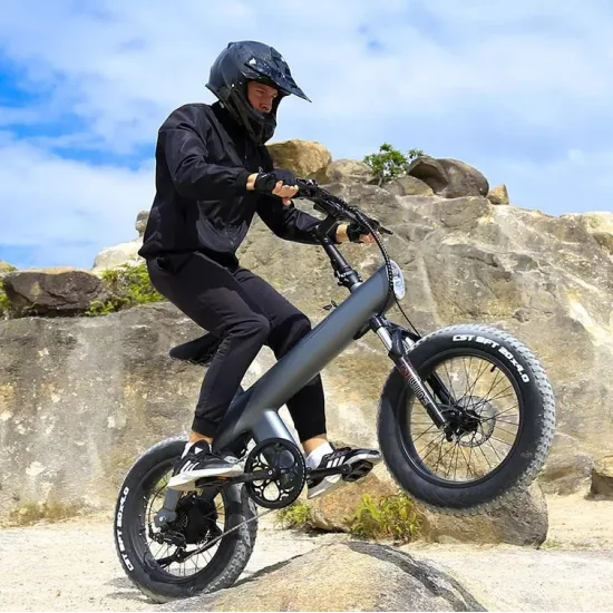 HX Q3 - Električno kolo