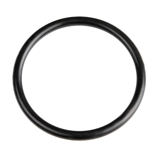 O-obroč Simaco 24/29 mm (1" priključek črpalke)